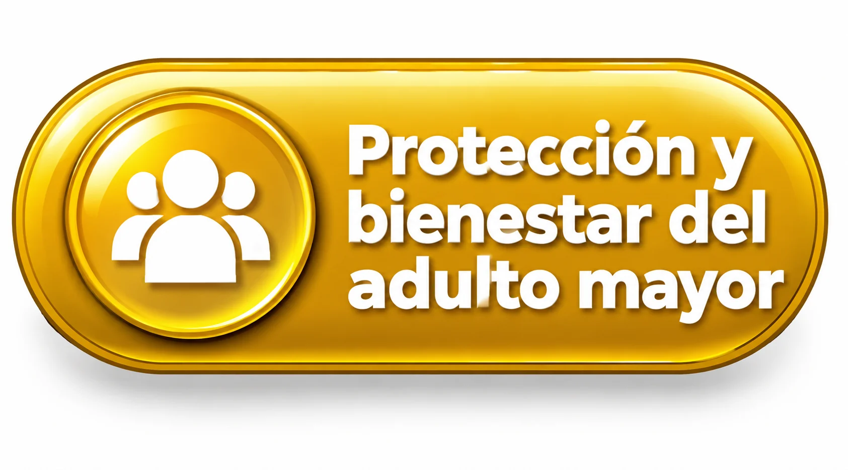 Protección y bienestar del adulto mayor
