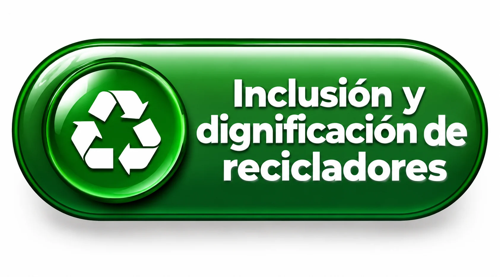 Inclusión y dignificación de recicladores